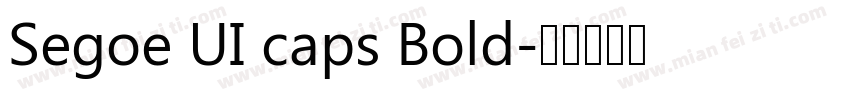 Segoe UI caps Bold字体转换